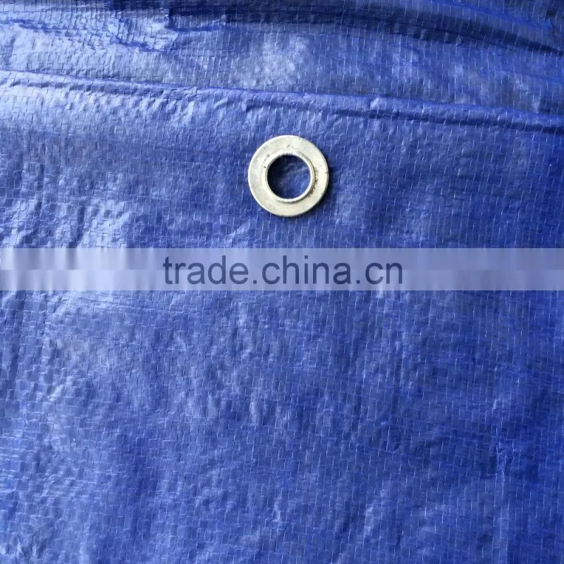 Vietnam recycled plastic tarpaulin car cover
