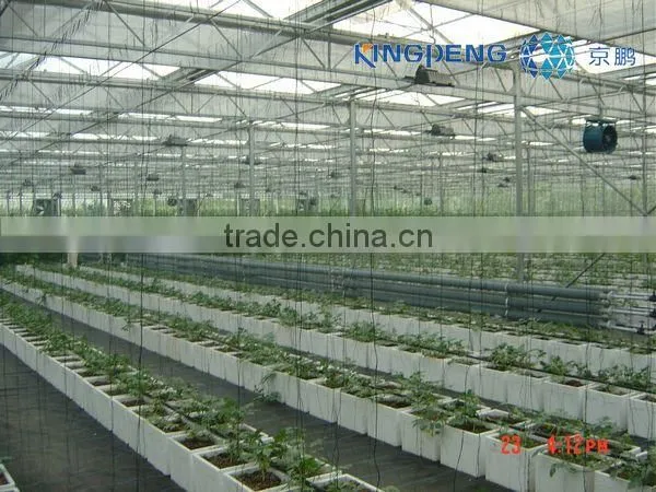 Glass Greenhouses