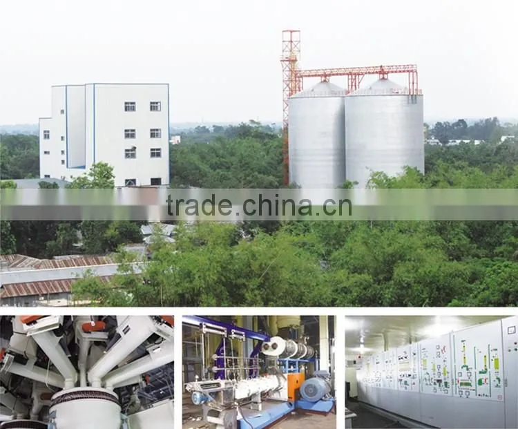 ZTMT Full Automatic Pet Food Production Line