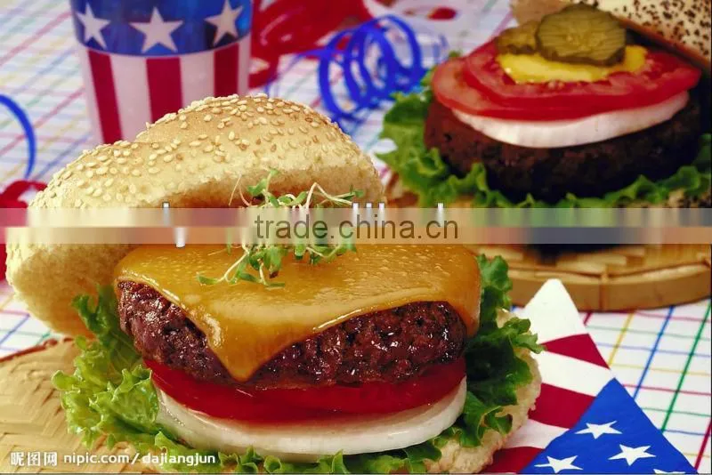 hot sale HBSY-100 Automatic hamburge patty forming machine