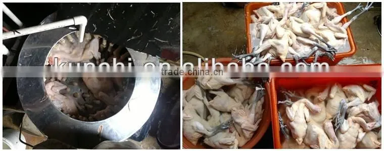 stainless steel poultry feather removal machine / chicken/duck/goose/pigeon/quail plucker/ deharinf machine with high quality