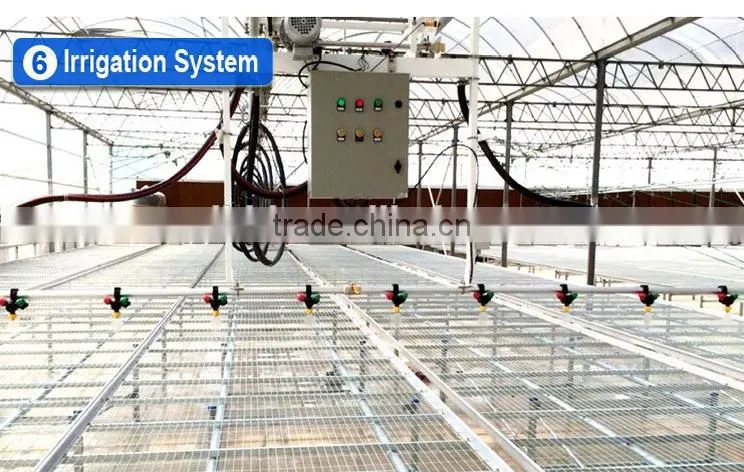 Factory Price Galvanized steel frame agricultural plastic green house