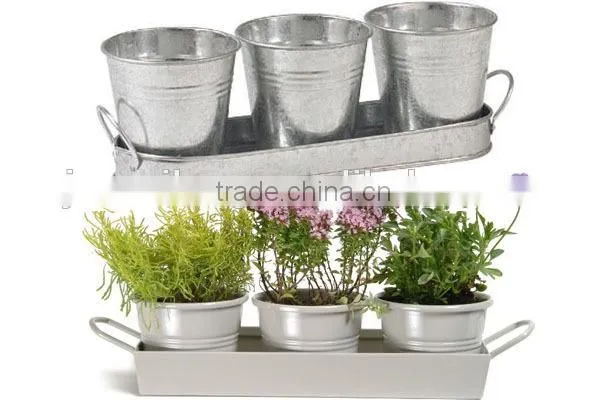 Metal mop bucket ( 30 years experiences)