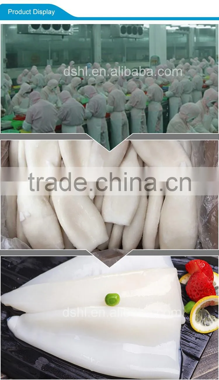 HL0088 illex squid tubes squid fish