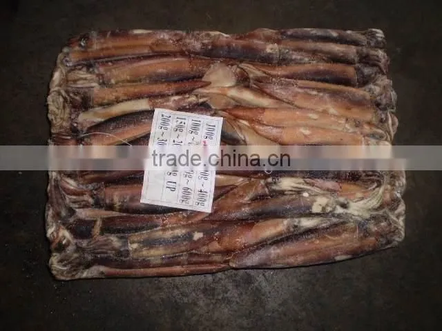 China exporter frozen argentina squid illex argentinus