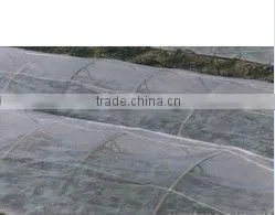 greenhouse anti-insect net