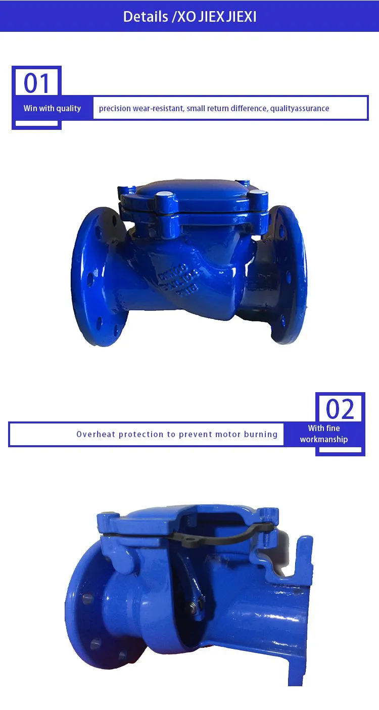 BS Swing Check Valve 1-5.jpg.webp