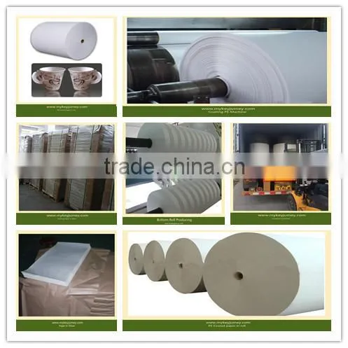 PE coated Paper In Sheet For Cups