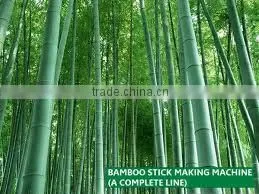 2013 new design bamboo spoon