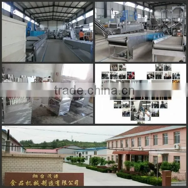 Best-selling Peanut coating machine