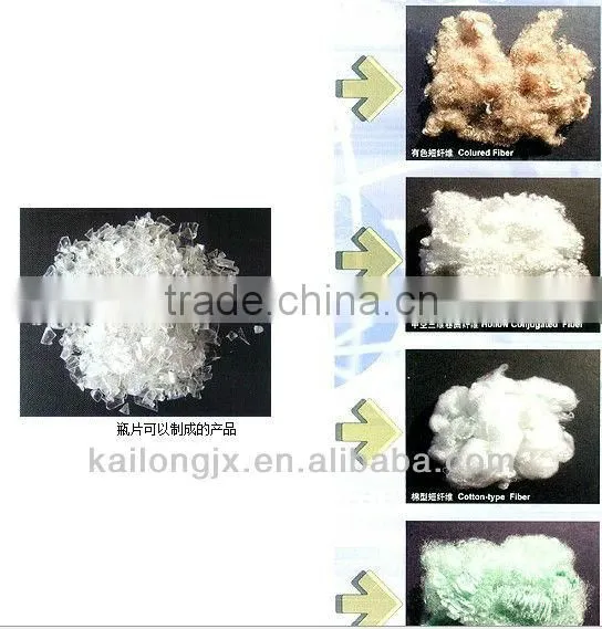 pet flakes production line