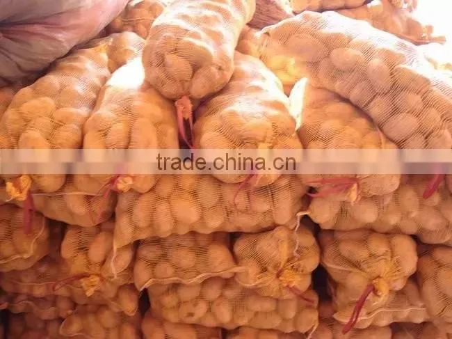 supply fresh vegetables ,high quality fresh potatoes for sale