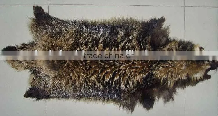 Raccoon Fur Skin
