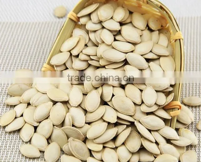New Crop Chinese Sunflower seed 5009/3638/0409/103/601 for bird big size