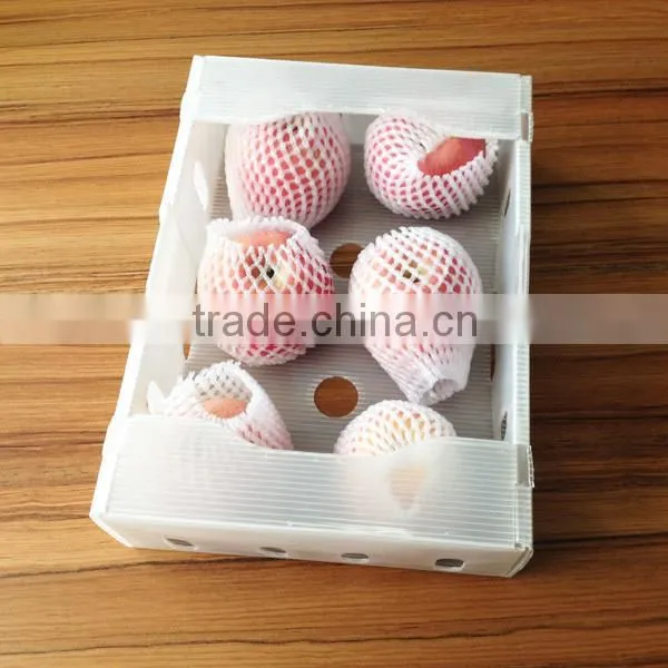 High quality PP Hollow/corrugated Sheet box/case
