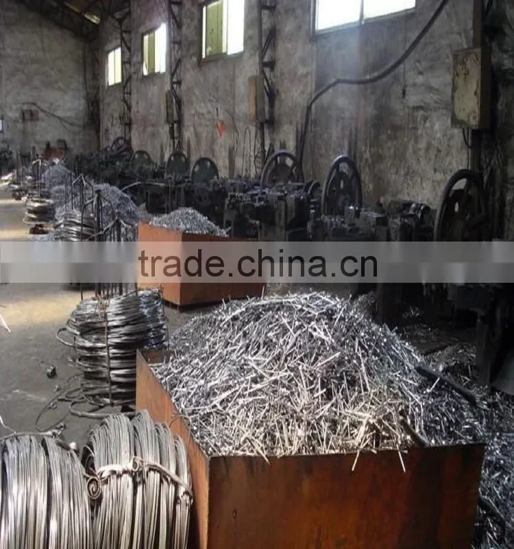 common nail/ common wire nail/common iron nails