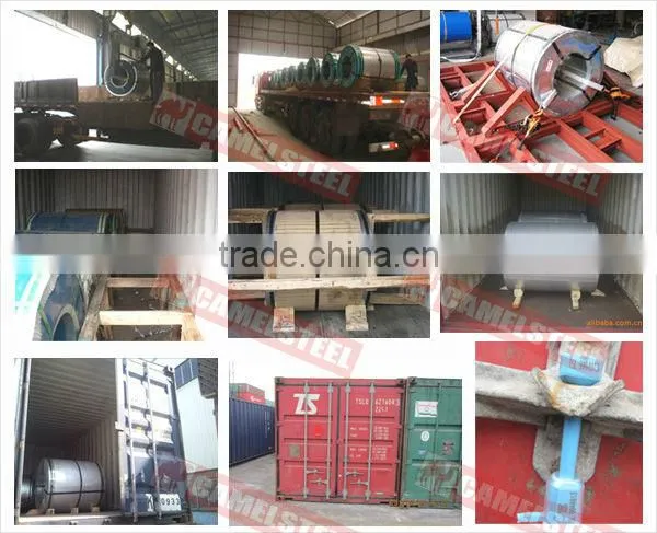 Color Coated Steel Coil,PPGI/PPGL coil,RAL Galvanized Steel Coil Building Materials