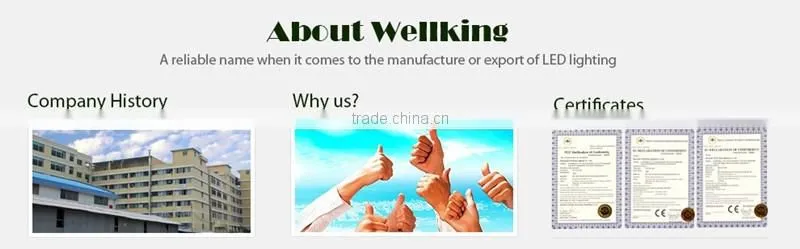 2016 Wholesale High lights 80w for warehouse, site lighting