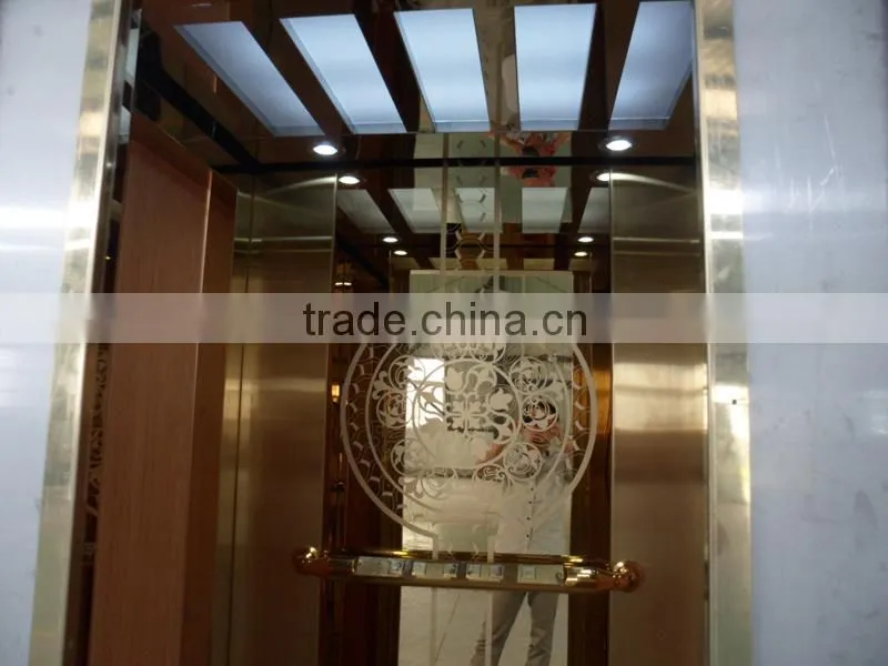 Small Elevators for Homes/Lift Elevator