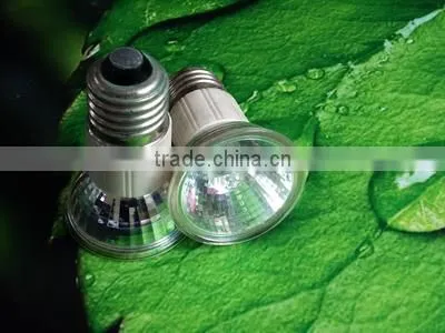JDR Halogen Lamp