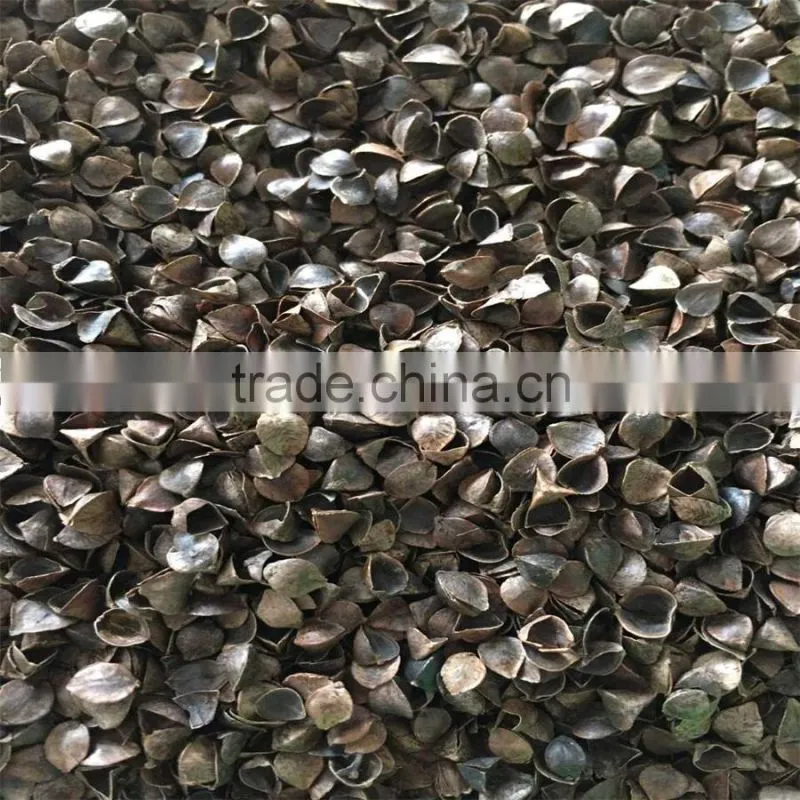 good and bulk BucKwheat Hulls