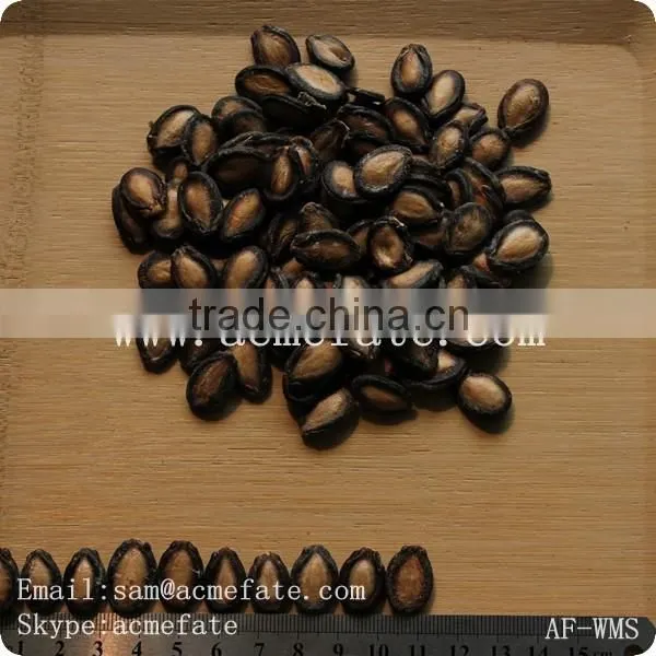 snacks / foodstuff / new crop black watermelon seeds A grade