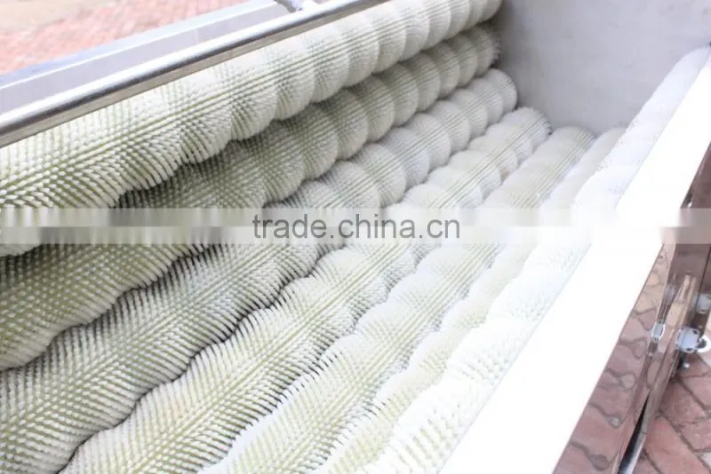 High Efficiency Large Capacity Attrition Type Vegetable and Fruit Peeler Peeling Machine
