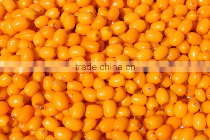 Sea-buckthorn Juice Powder