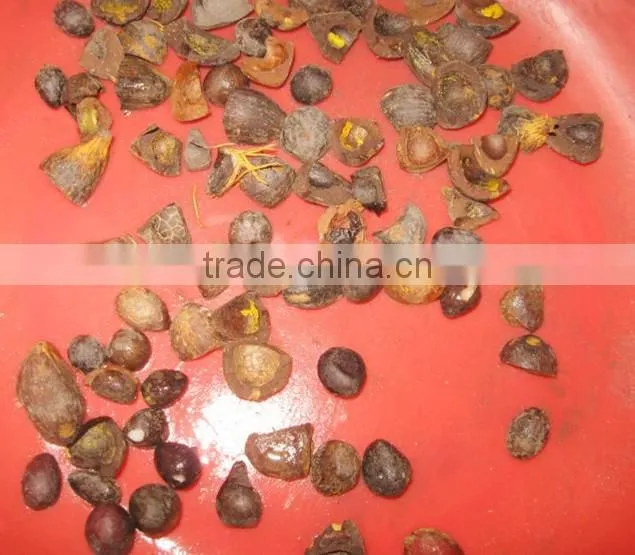 WANDA 400-5000KG/H palm kernel cracker /sheller machine