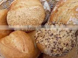 manufacturer bread oven, electrical oven, gas oven , Tunnel Oven/Baking Oven/Bakery Equipment
