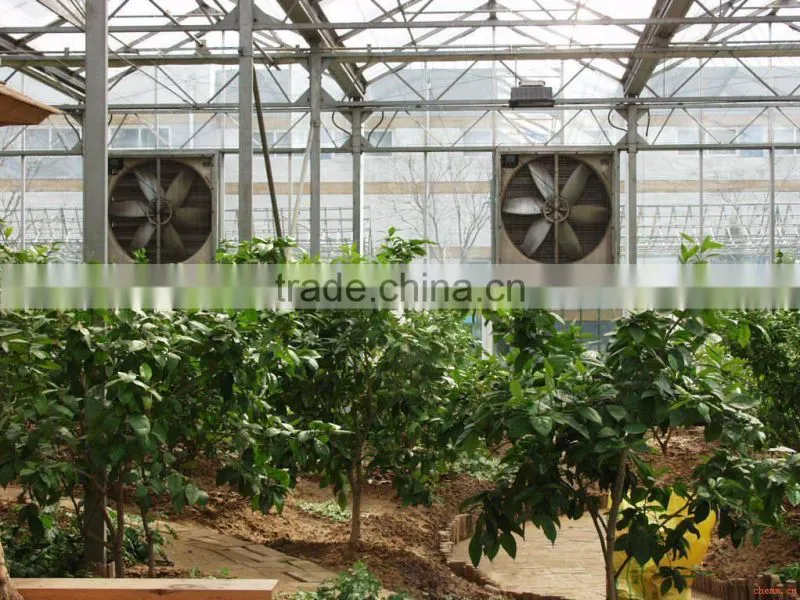 greenhouse and poultry house negative-pressure cooling pad exhaust fan