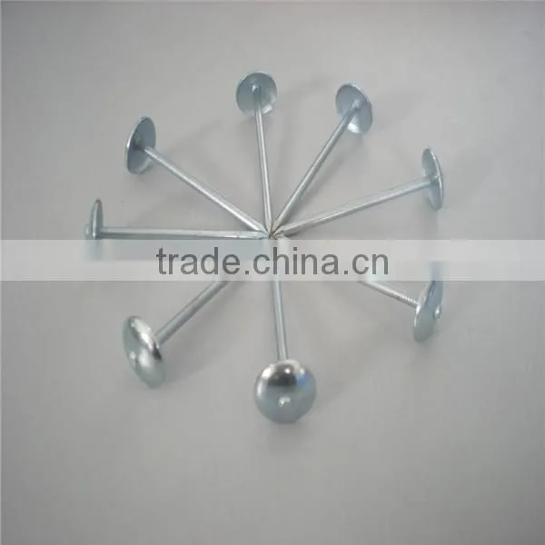 High Quality Nails and Steel Nails