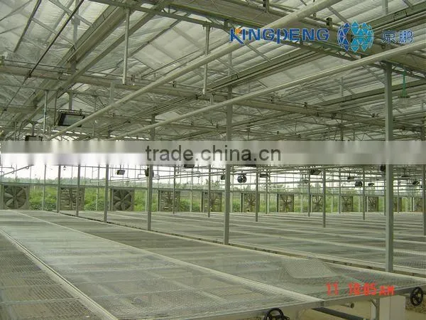 Glass Greenhouse for Agriculture Use