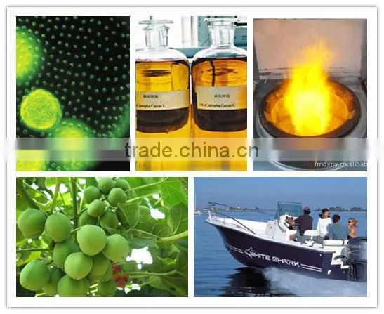 High Quality Biodiesel Separation Machine for UCO