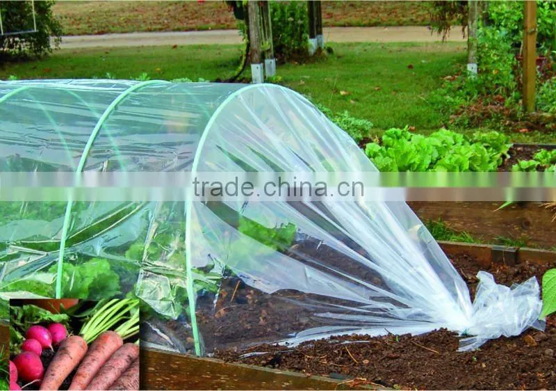 big size agriculture greenhouse tunel film