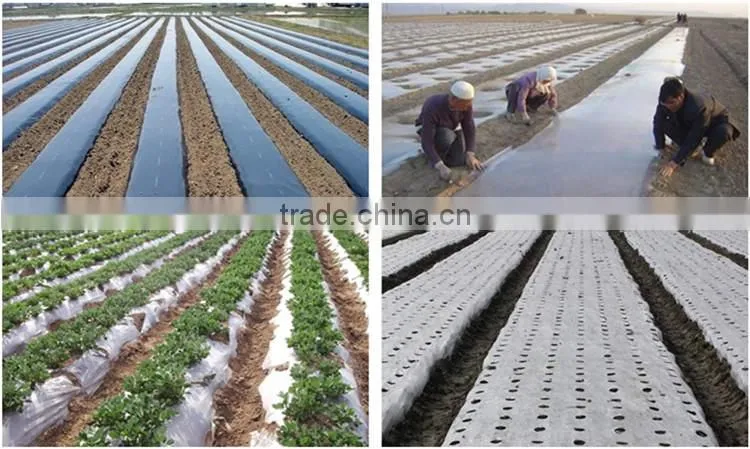 LD(L) Series Mulch and Agricultural Blown Film Machinery Lines