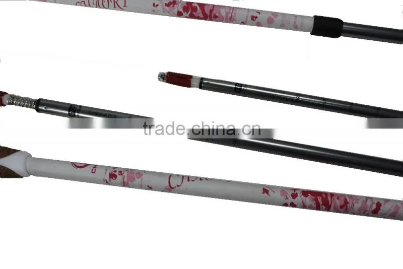 Nordic walking stick, cheap price, 3 sections, internal lock, 6061 Aluminum SZ17007