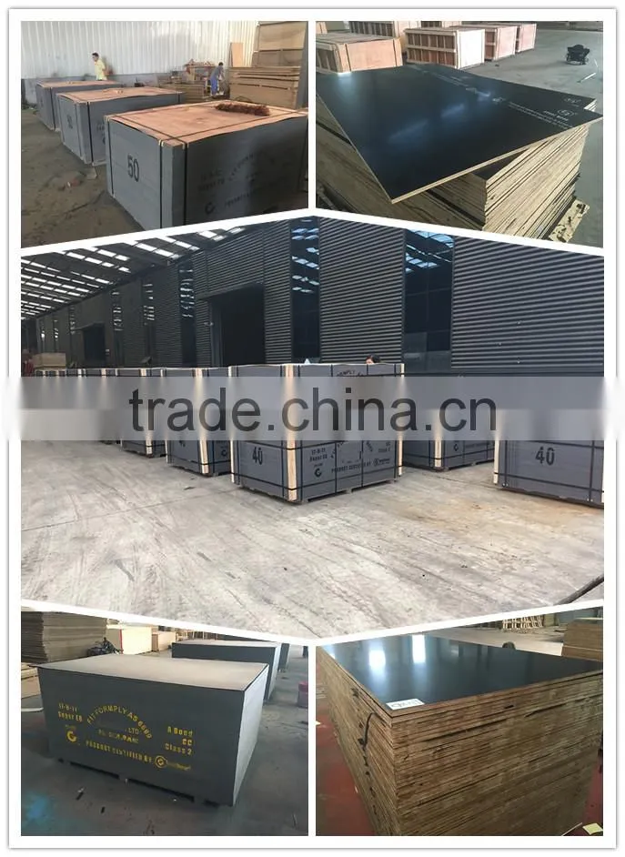 Australian Standard Formwork Plywood F17 for Australia