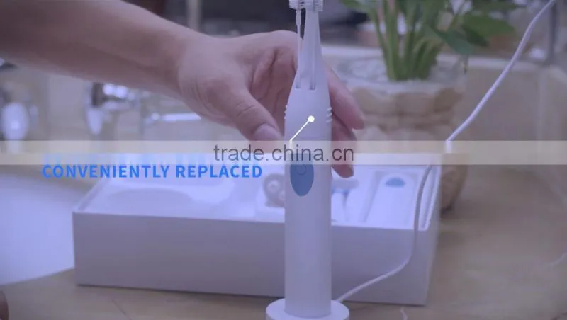 Kids and adult electric toothbrush with double heads holder