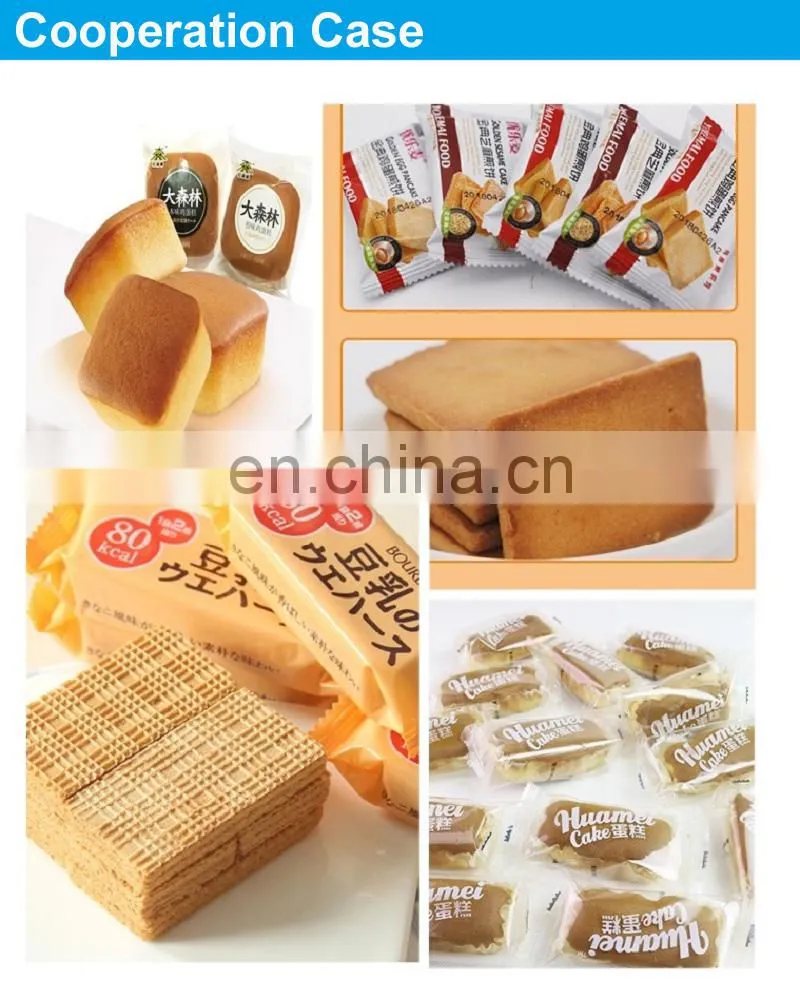 Plastic Bag Medicine Pharmaceutical Automatic Horizontal Pillow Type Flow Packing Machine