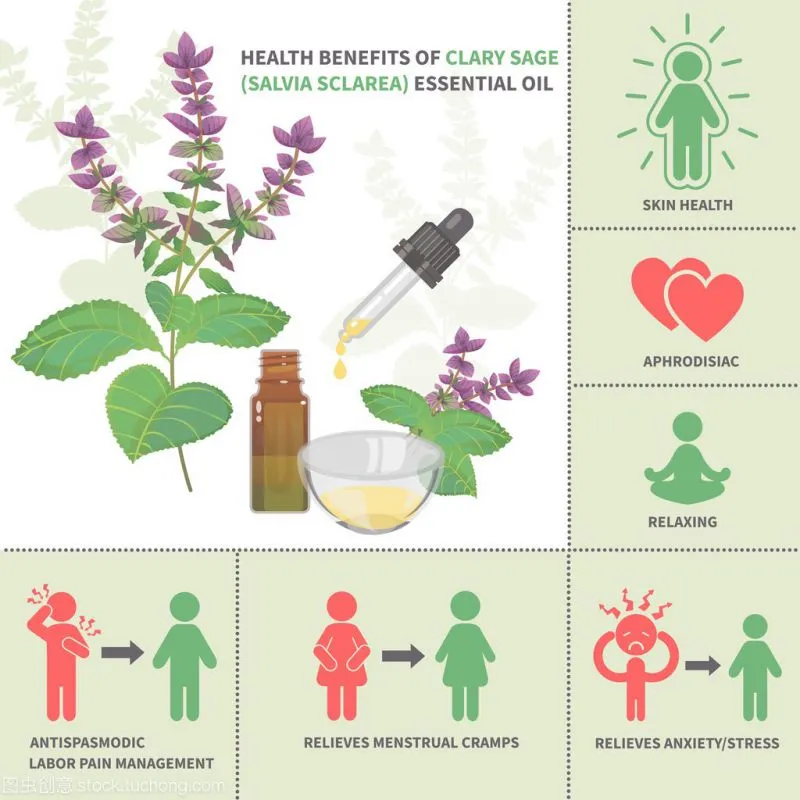 1000-4000L Patchouli Essential Oil Essential Oil Essential Oil Distillation Plant