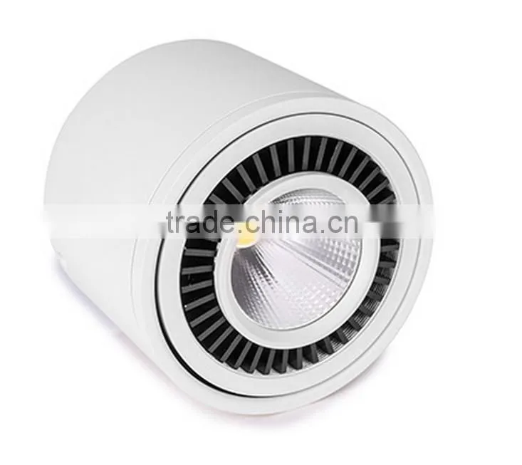 High Quality IP44 Indoor Using CREE Chips Lifud Driver Surface Mount Adjustable 20W 30W COB LED Round Downlight