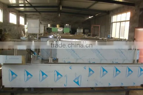 50-100ml coconut juice and mango shapes packaging machine