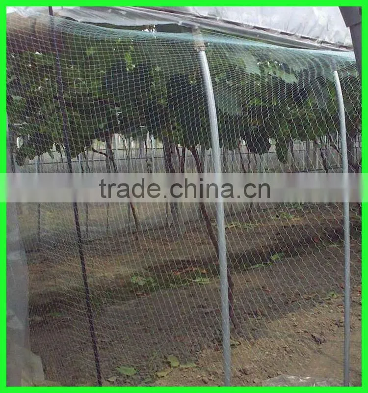 Clear anti bird hail cover net/uv resistance woven mesh net/reinforced hail guard net