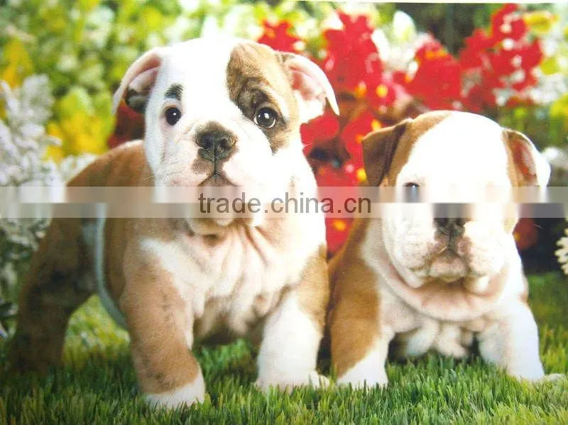 220g Waterproof Matte Photo Paper with Dye Ink