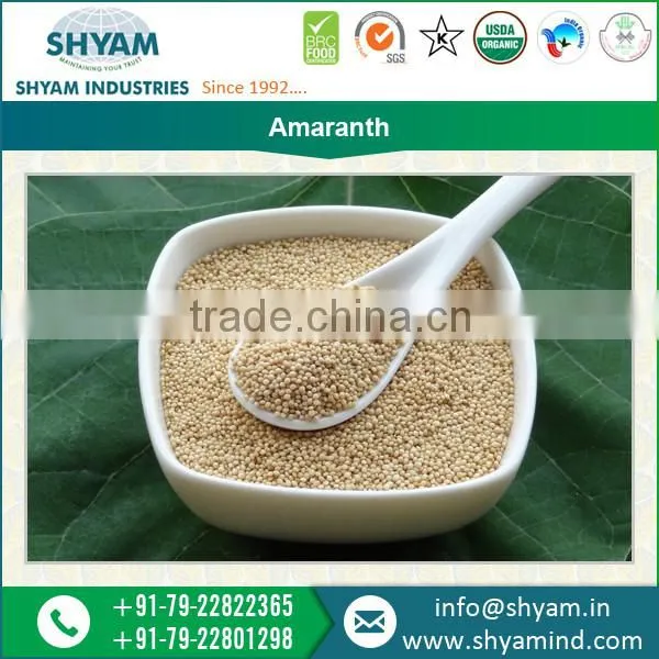 Unique and Light Yellowish Amaranth at Reasonable Rates