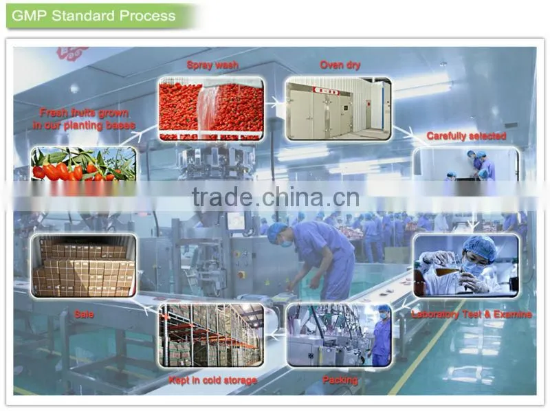 Zero pesticide residues dried goji berry fruit in hot selling