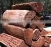 KLAY Wood fired Ovens for Garden Cooking and Retrofits