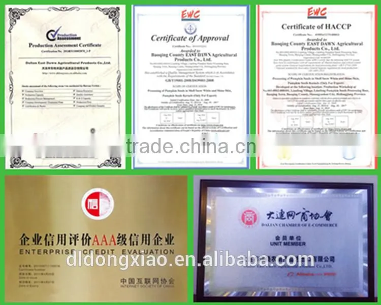 Shop Online Price of Sunflower Seeds, Specifications for Sunflower Seed