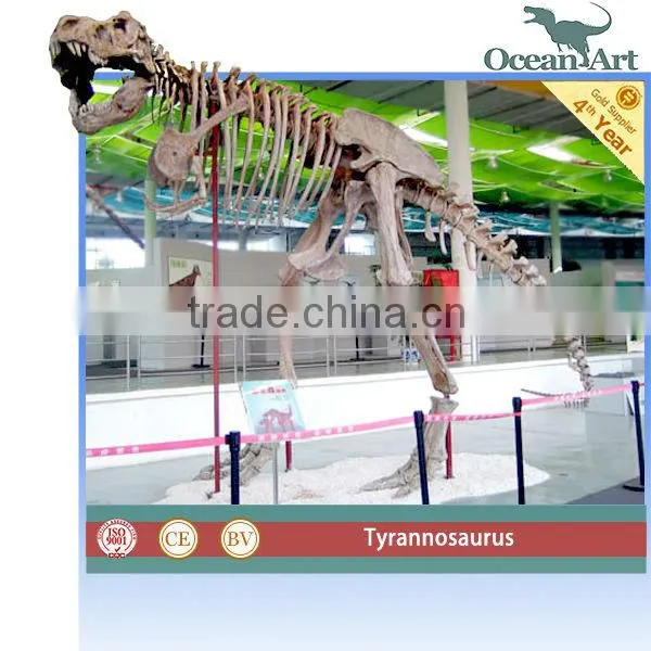 lifesize t-rex dinosaur skeleton model